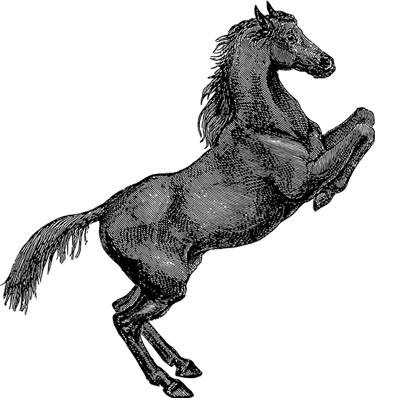 nba竞猜